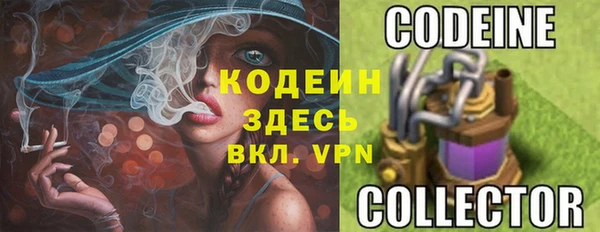 твердый Аркадак