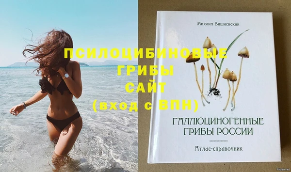 тгк Армянск