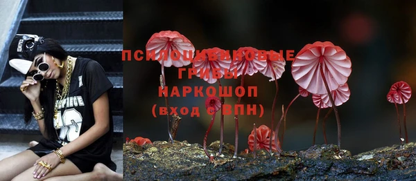 тгк Армянск