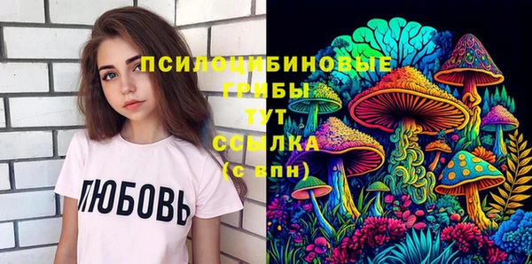 твердый Аркадак