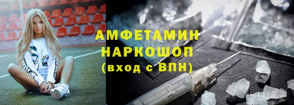 твердый Аркадак